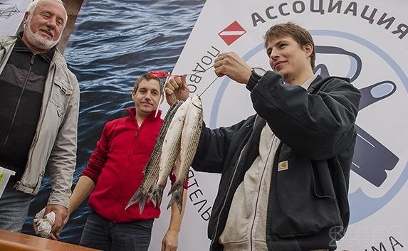 В Севастополе состоялся чемпионат по подводной охоте
